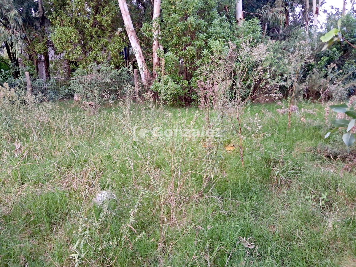 Terreno ID.786 - Terreno en venta Playa Verde Piriápolis 