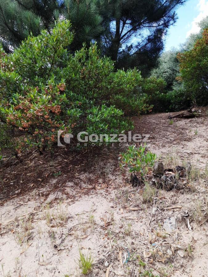 Terreno ID.706 - Terreno en Barrio Country