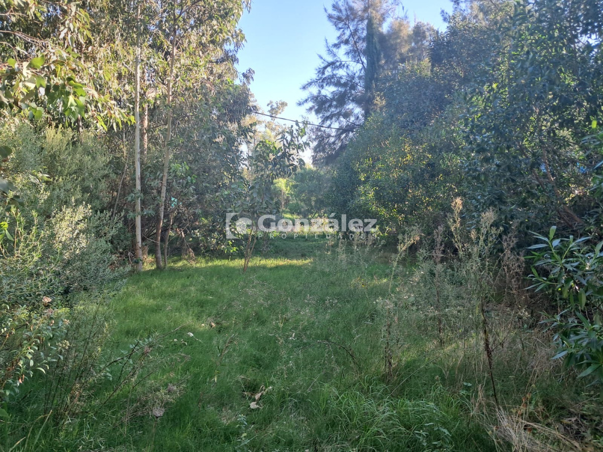 Terreno ID.786 - Terreno en venta Playa Verde Piriápolis 