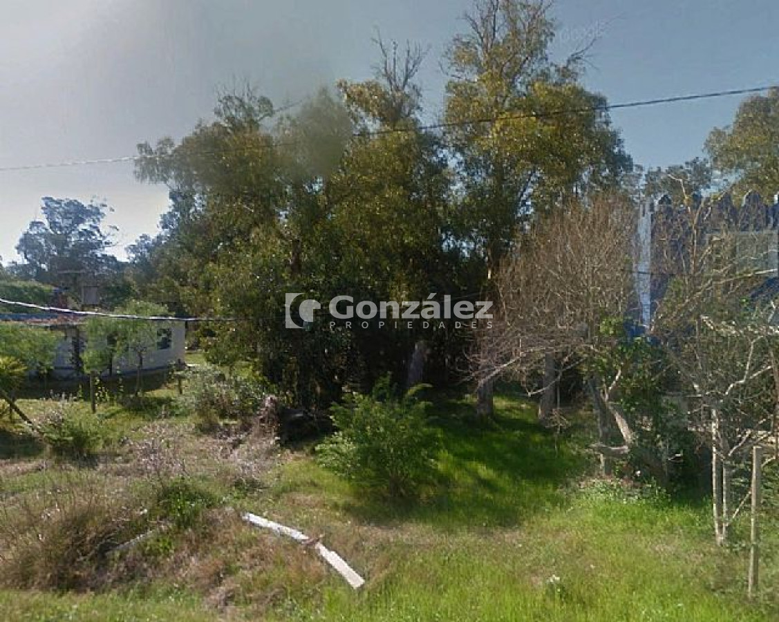 Terreno ID.398 - Calle Montevideo, entre Ipanema y Canelones