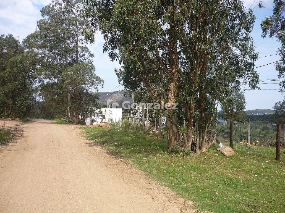 Terreno ID.440 - O.HIGGINS Y MAGALLANES