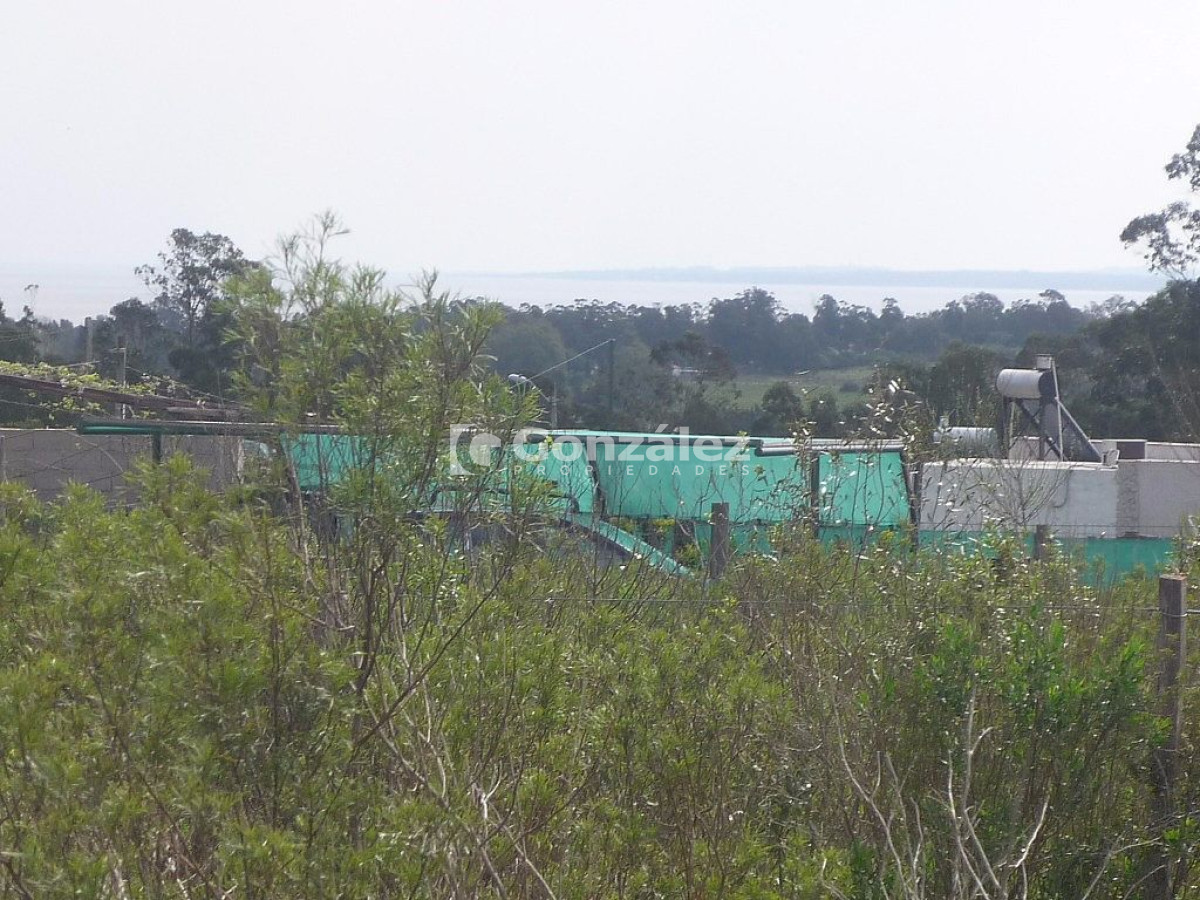 Terreno ID.440 - O.HIGGINS Y MAGALLANES