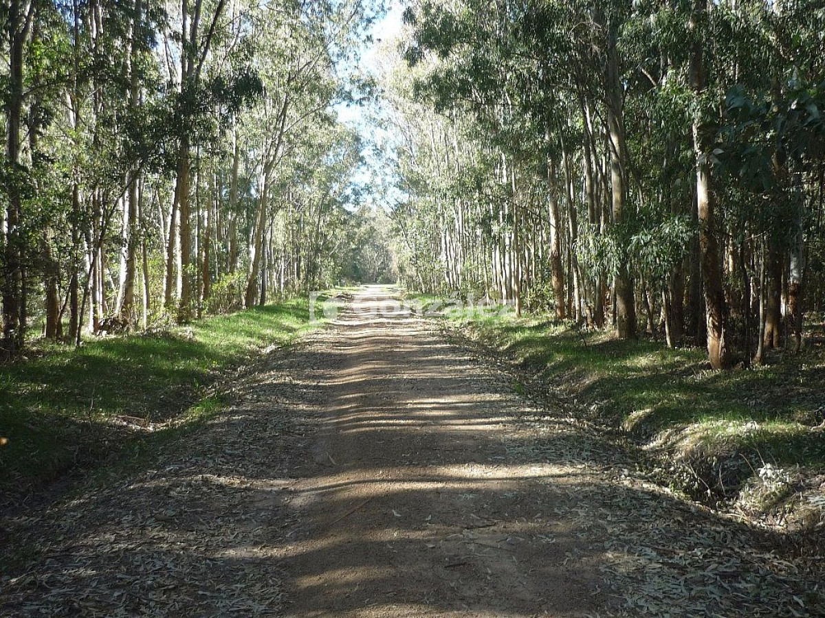 Terreno ID.378 - Calle Ruiseñor