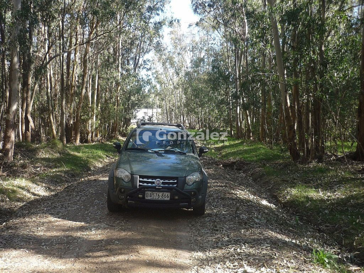 Terreno ID.378 - Calle Ruiseñor