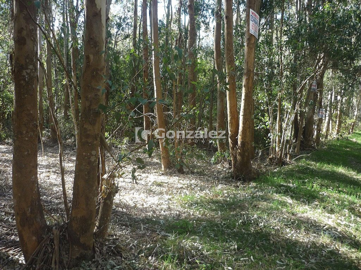 Terreno ID.378 - Calle Ruiseñor