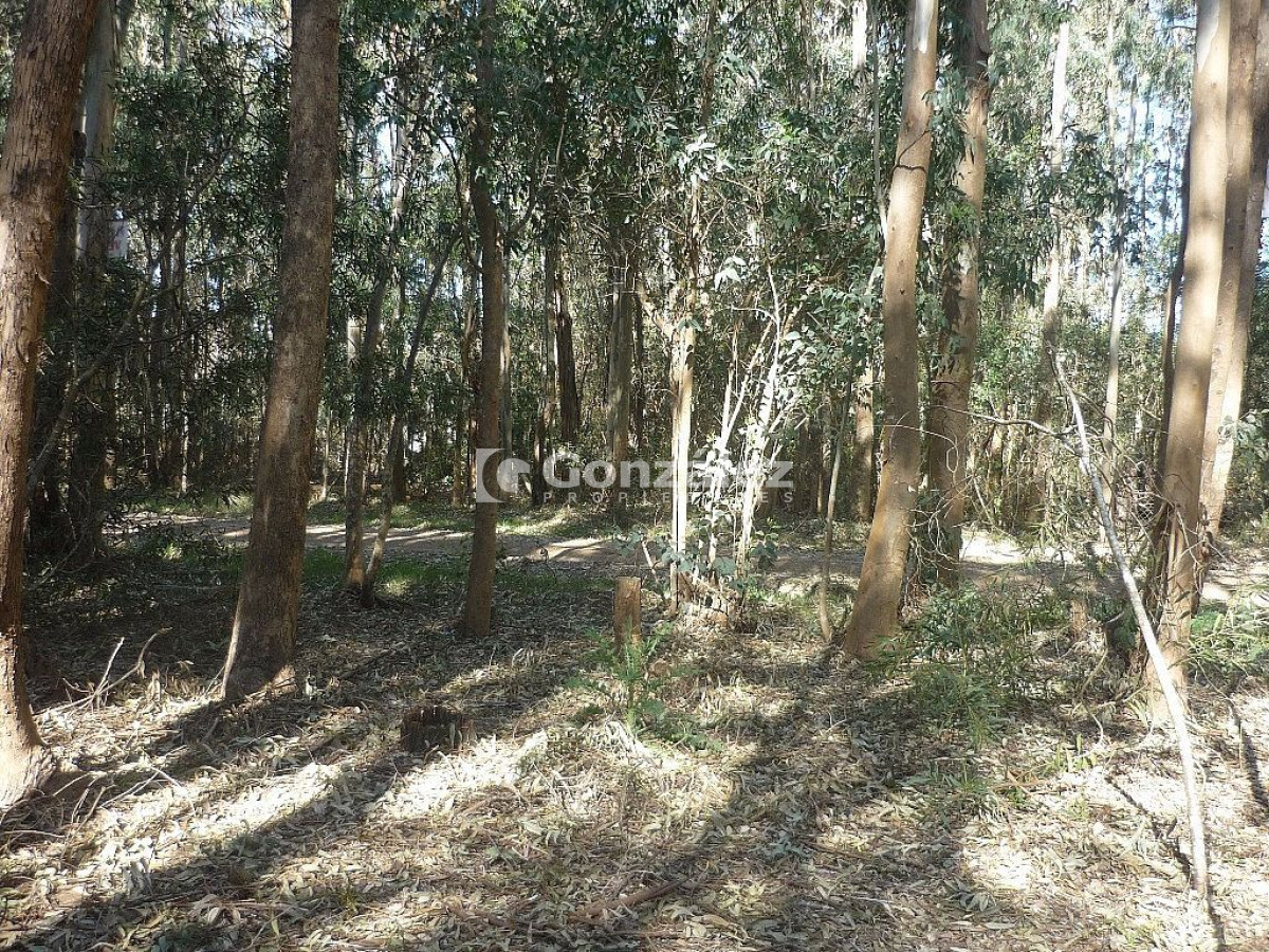 Terreno ID.378 - Calle Ruiseñor