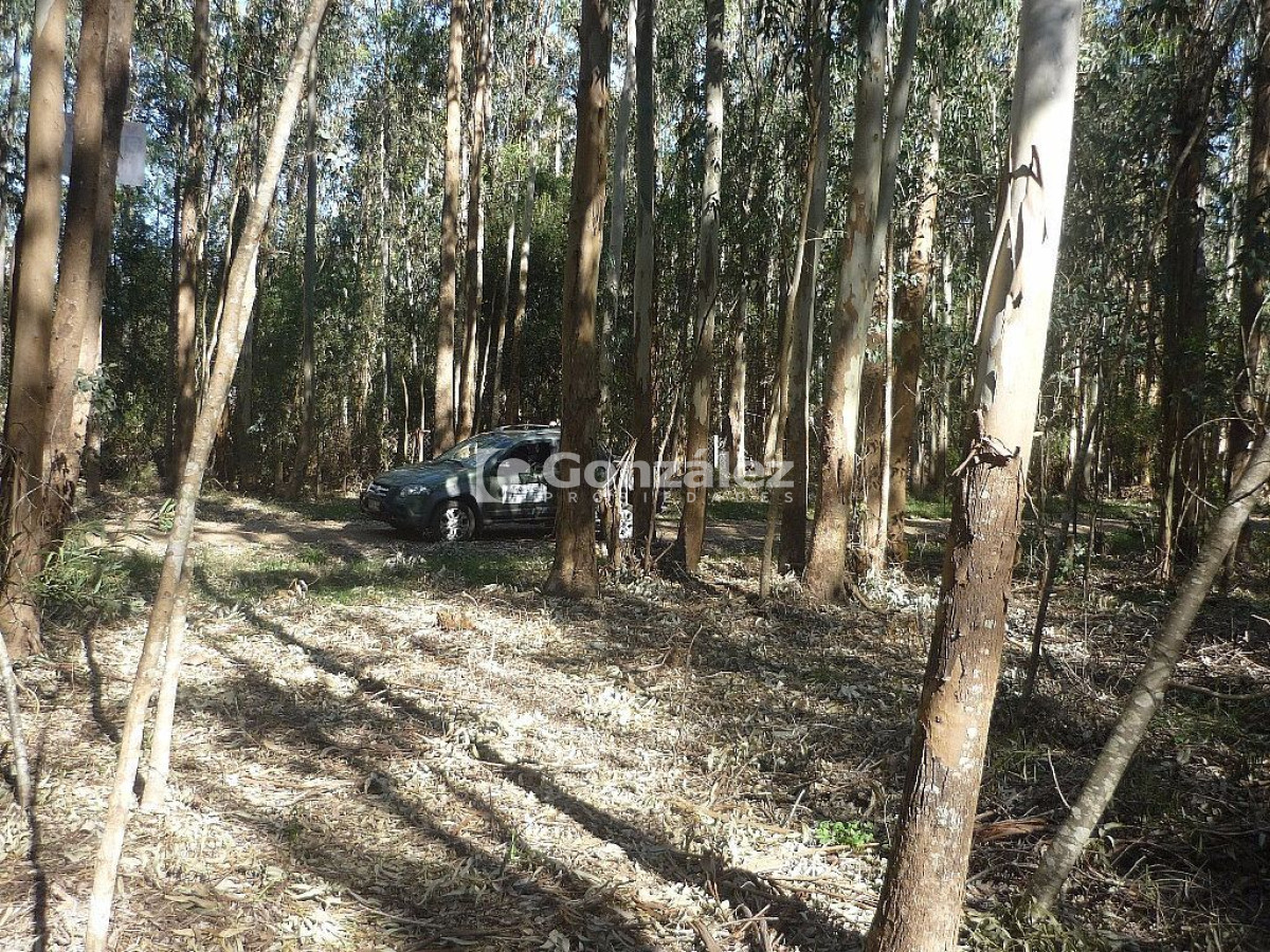 Terreno ID.378 - Calle Ruiseñor