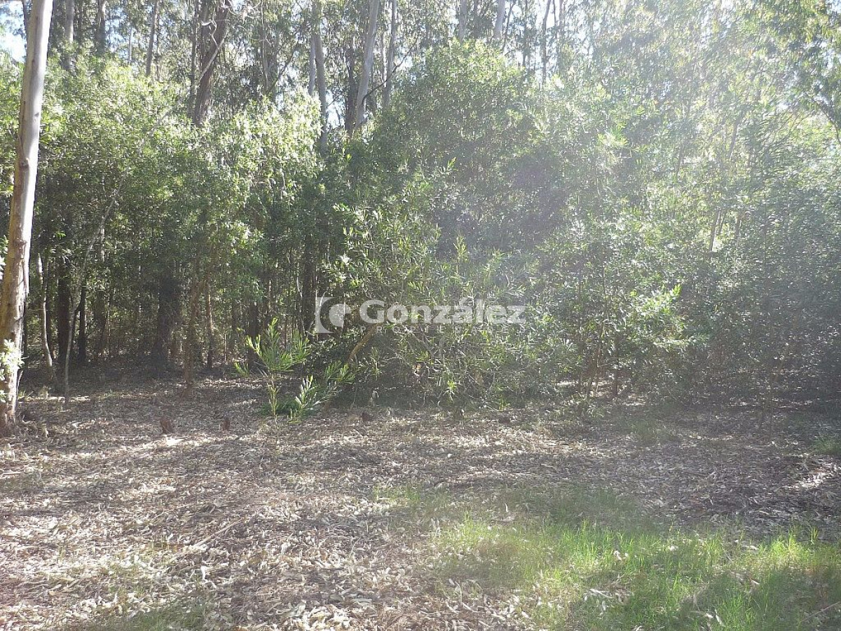 Terreno ID.378 - Calle Ruiseñor