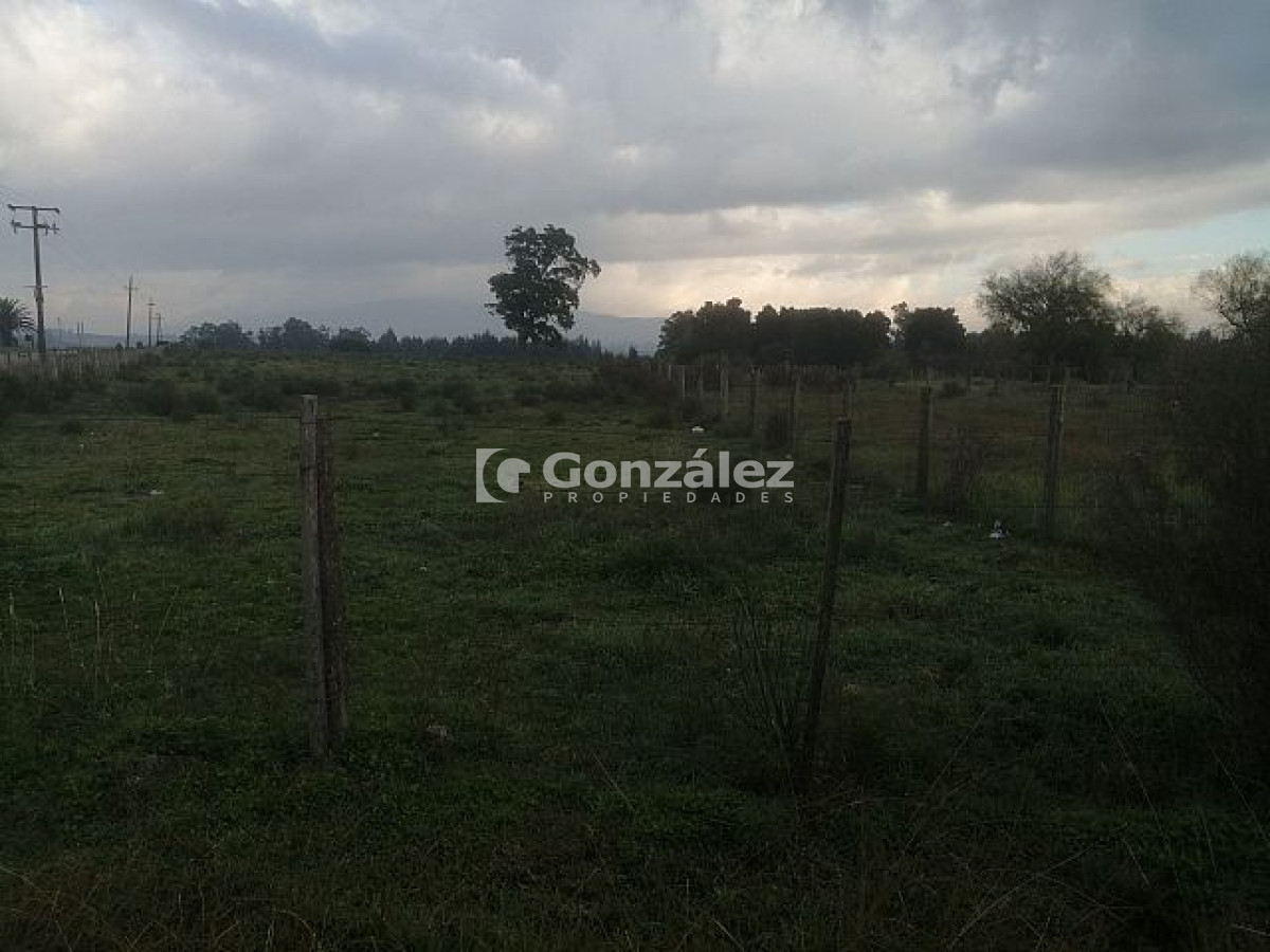 Terreno ID.415 - Julio Marma Sosa