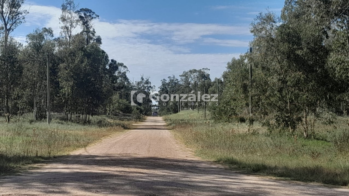 Terreno ID.836 - Terreno en venta Balneario La Esmeralda Rocha