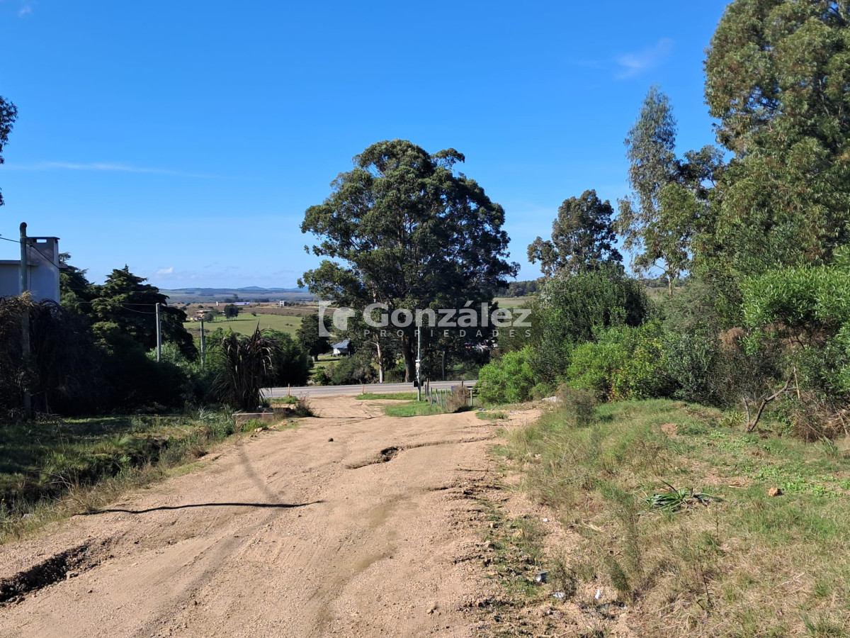 Piriápolis - GoPunta - Portal Inmobiliario de Punta del Este - Maldonado