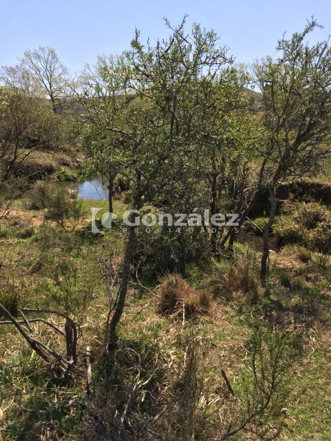 Terreno ID.618 - Terreno en Marco de los Reyes , Lavalleja