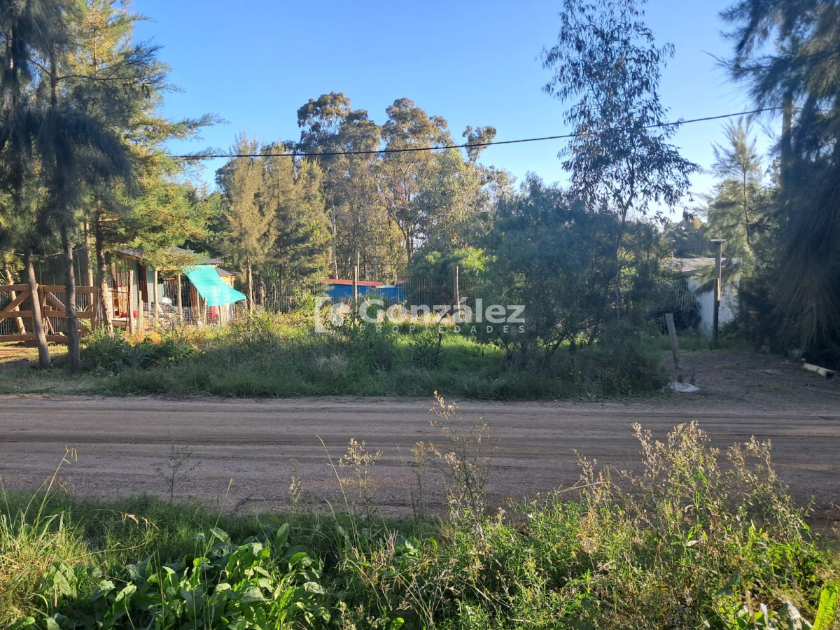 Playa Verde - GoPunta - Portal Inmobiliario de Punta del Este - Maldonado