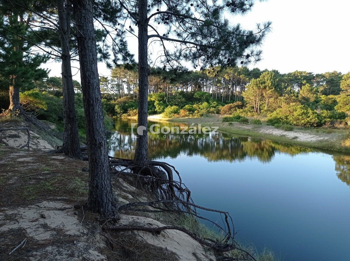 Terreno ID.503 - Terreno de Grandes Dimensiones con costa arroyo en Chihuahua
