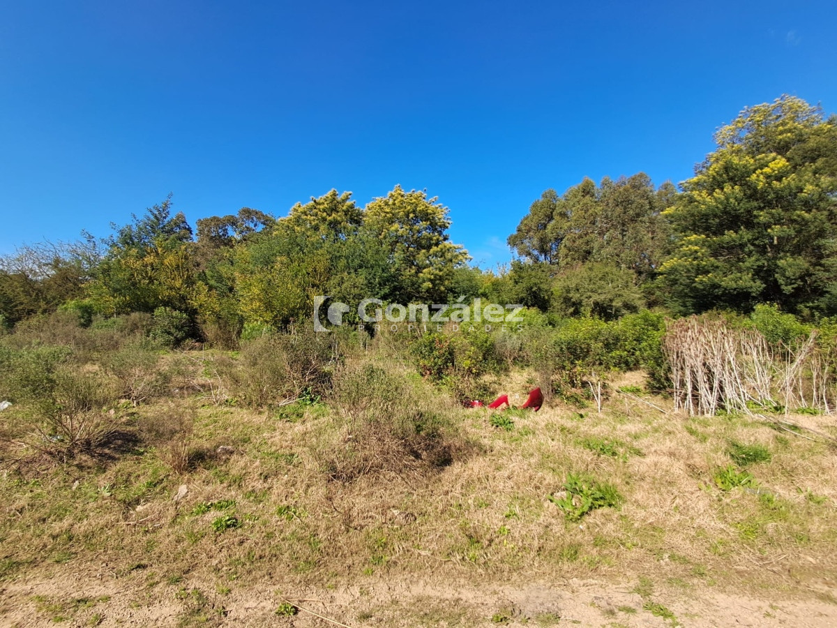 Terreno ID.739 - Terreno en venta La Falda Piriápolis