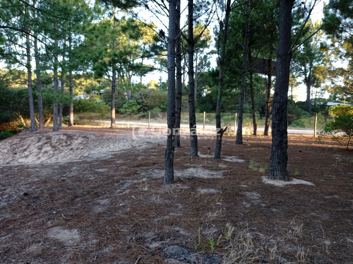 Terreno ID.503 - Terreno de Grandes Dimensiones con costa arroyo en Chihuahua