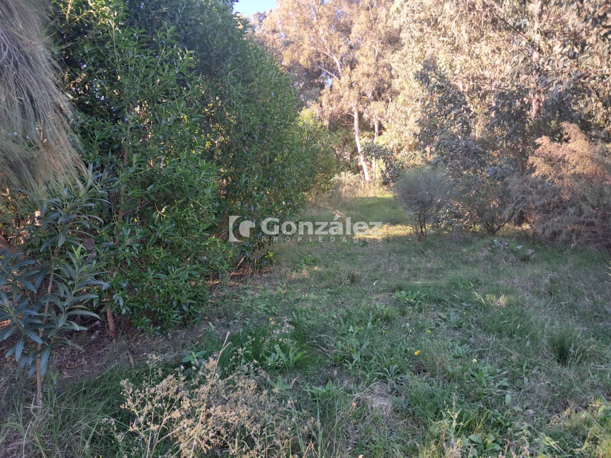 Terreno ID.786 - Terreno en venta Playa Verde Piriápolis 
