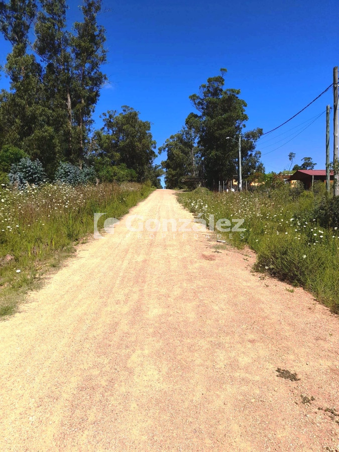 Piriápolis - GoPunta - Portal Inmobiliario de Punta del Este - Maldonado