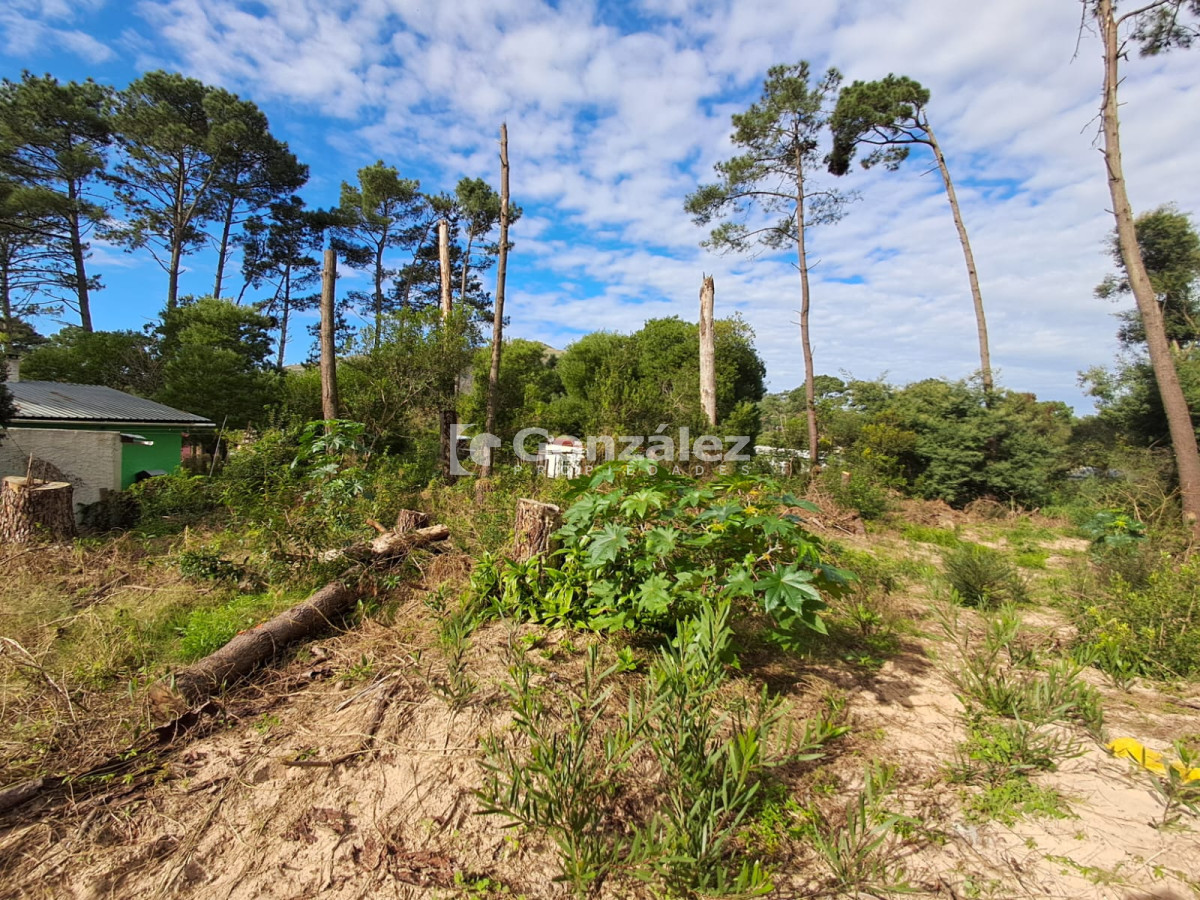 Terreno ID.729 - Terreno a la venta en Barrio Country