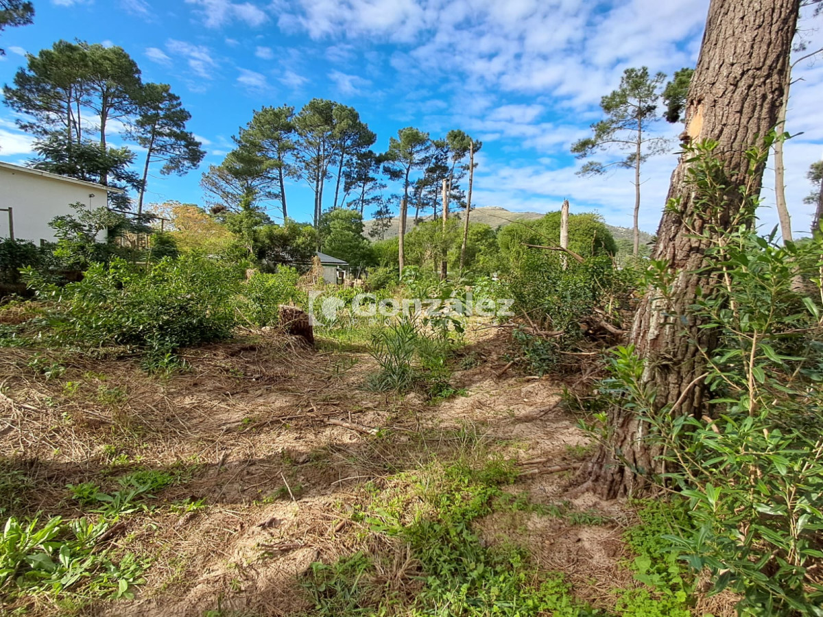 Terreno ID.729 - Terreno a la venta en Barrio Country