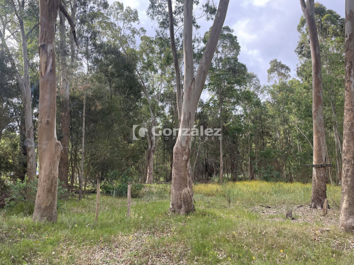 Terreno ID.836 - Terreno en venta Balneario La Esmeralda Rocha