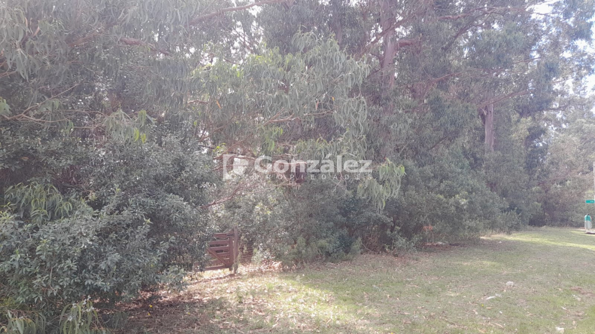 Terreno ID.763 - Terreno en Punta Negra U$S 45.000