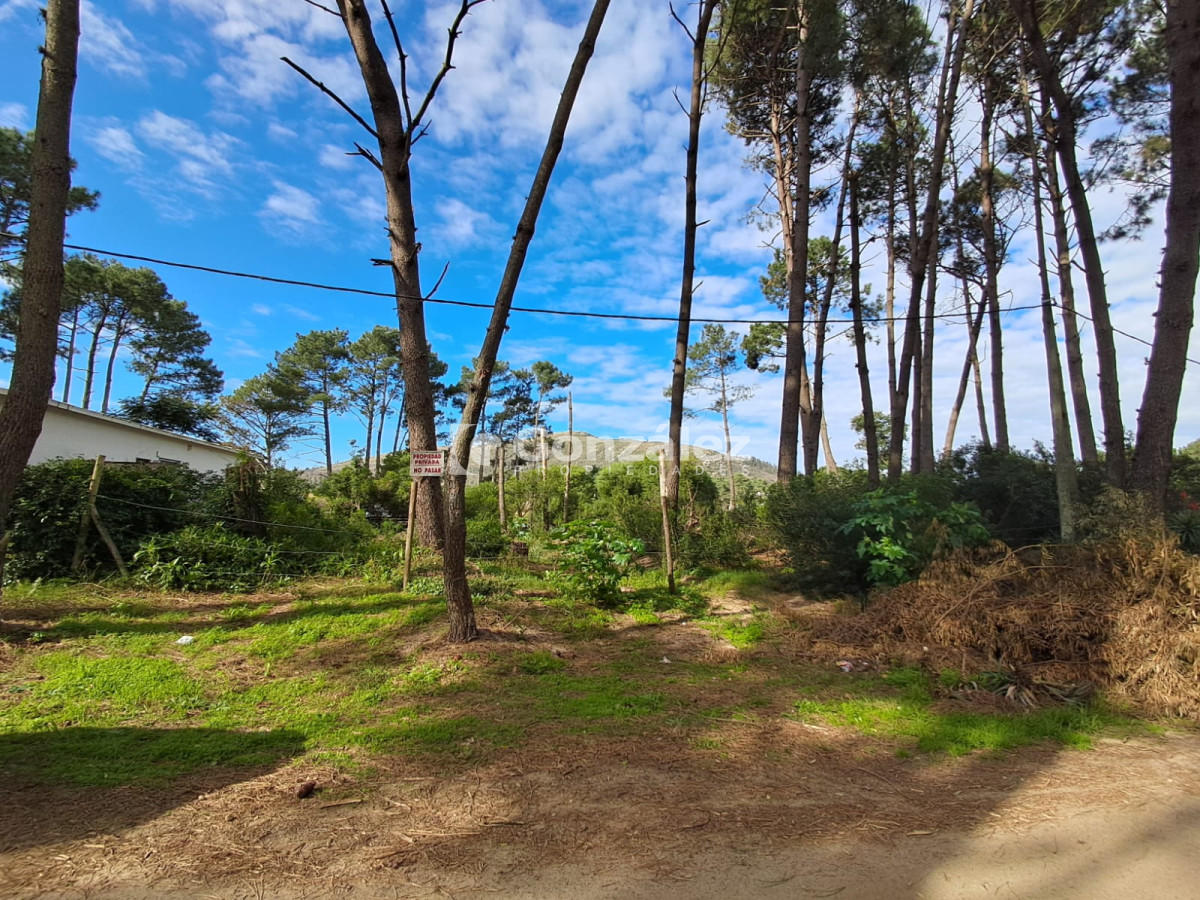 Terreno ID.729 - Terreno a la venta en Barrio Country
