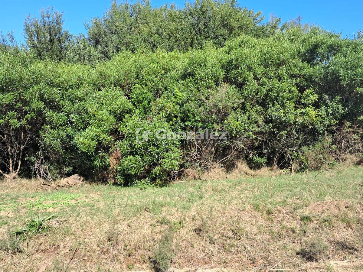 Piriápolis - GoPunta - Portal Inmobiliario de Punta del Este - Maldonado