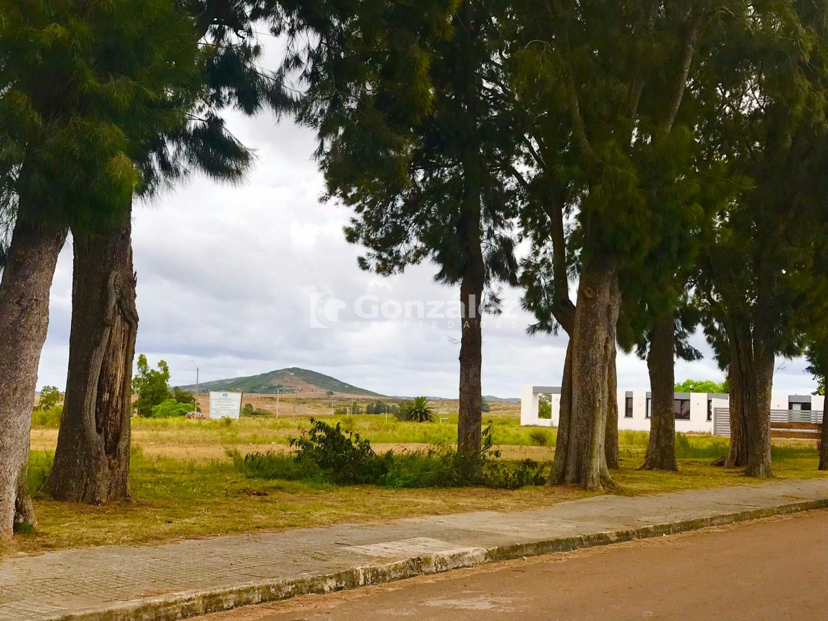 Terreno ID.697 - Terrenos Pan de Azúcar en venta