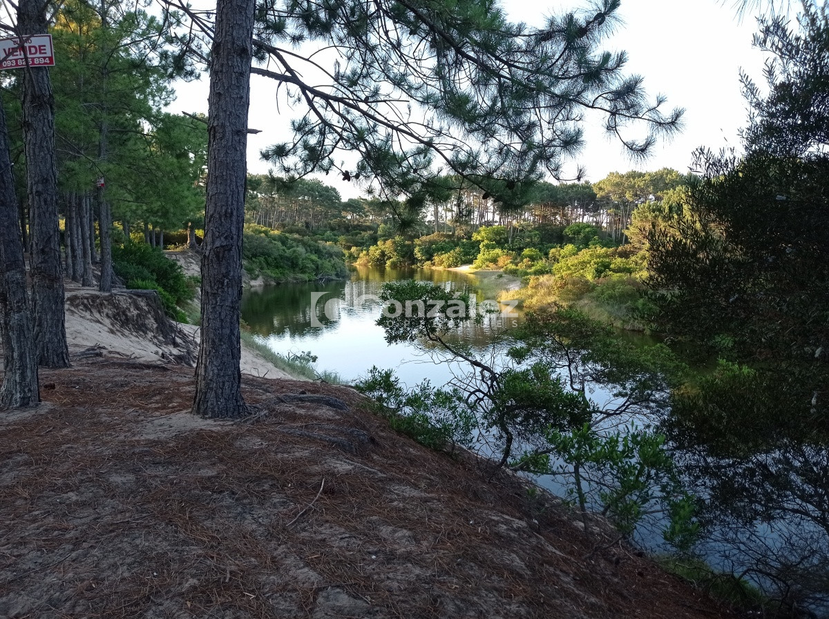 Terreno ID.503 - Terreno de Grandes Dimensiones con costa arroyo en Chihuahua