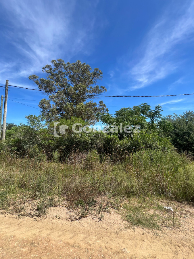Piriápolis - GoPunta - Portal Inmobiliario de Punta del Este - Maldonado
