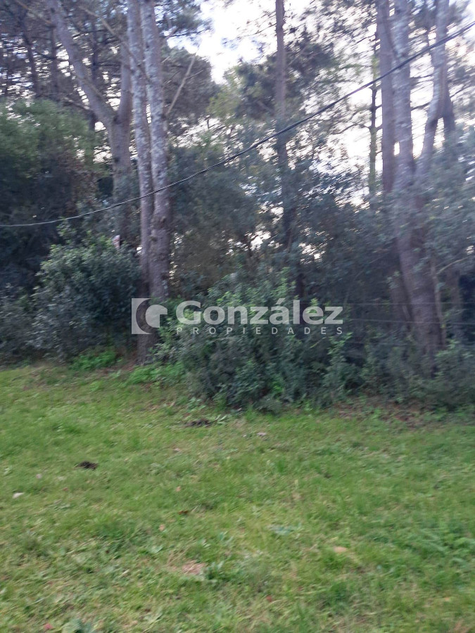 Terreno ID.728 - Terreno en Barrio Country Piriápolis