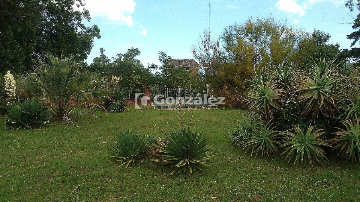 Terreno ID.437 - Cl. Artigas y Maldonado
