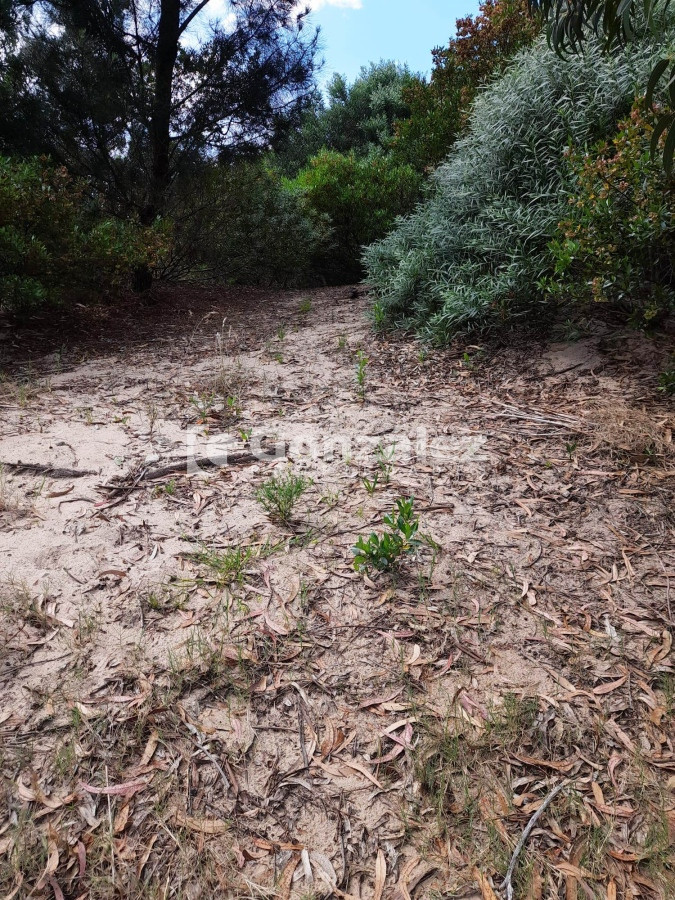 Terreno ID.706 - Terreno en Barrio Country
