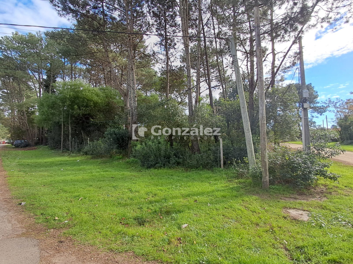 Terreno ID.728 - Terreno en Barrio Country Piriápolis
