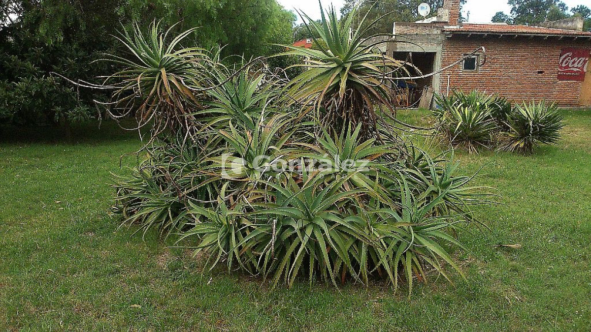 Terreno ID.437 - Cl. Artigas y Maldonado