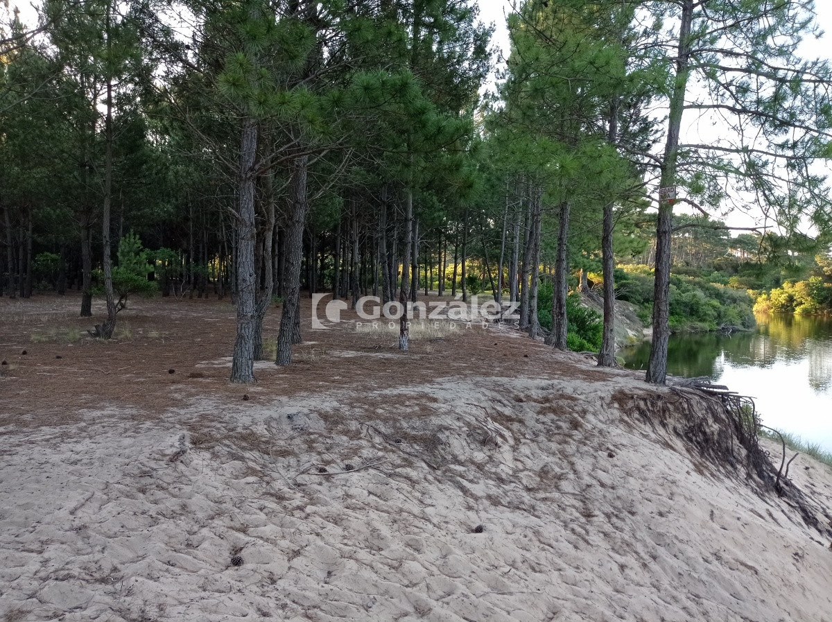 Terreno ID.503 - Terreno de Grandes Dimensiones con costa arroyo en Chihuahua