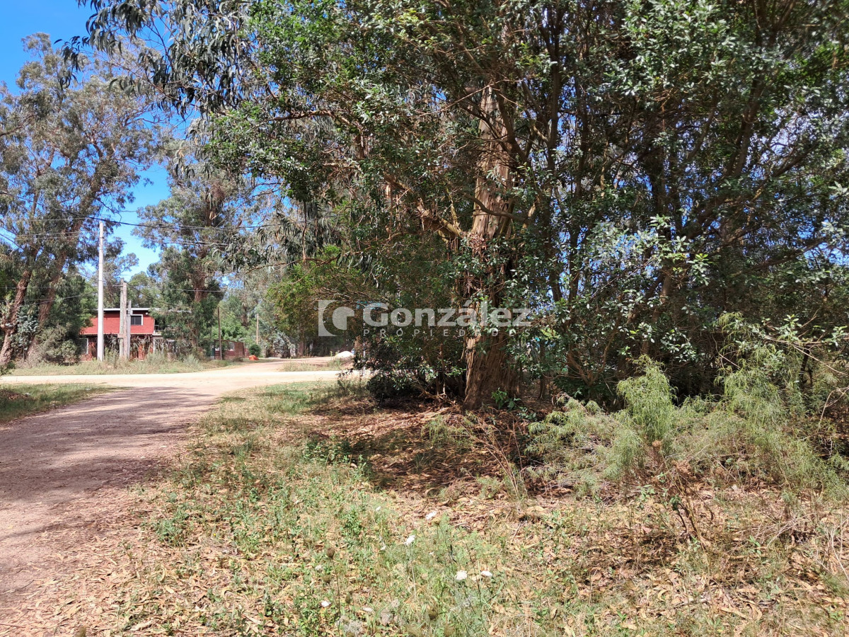Terreno ID.763 - Terreno en Punta Negra U$S 45.000