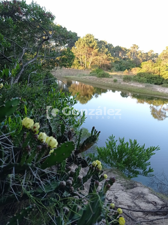 Terreno ID.503 - Terreno de Grandes Dimensiones con costa arroyo en Chihuahua