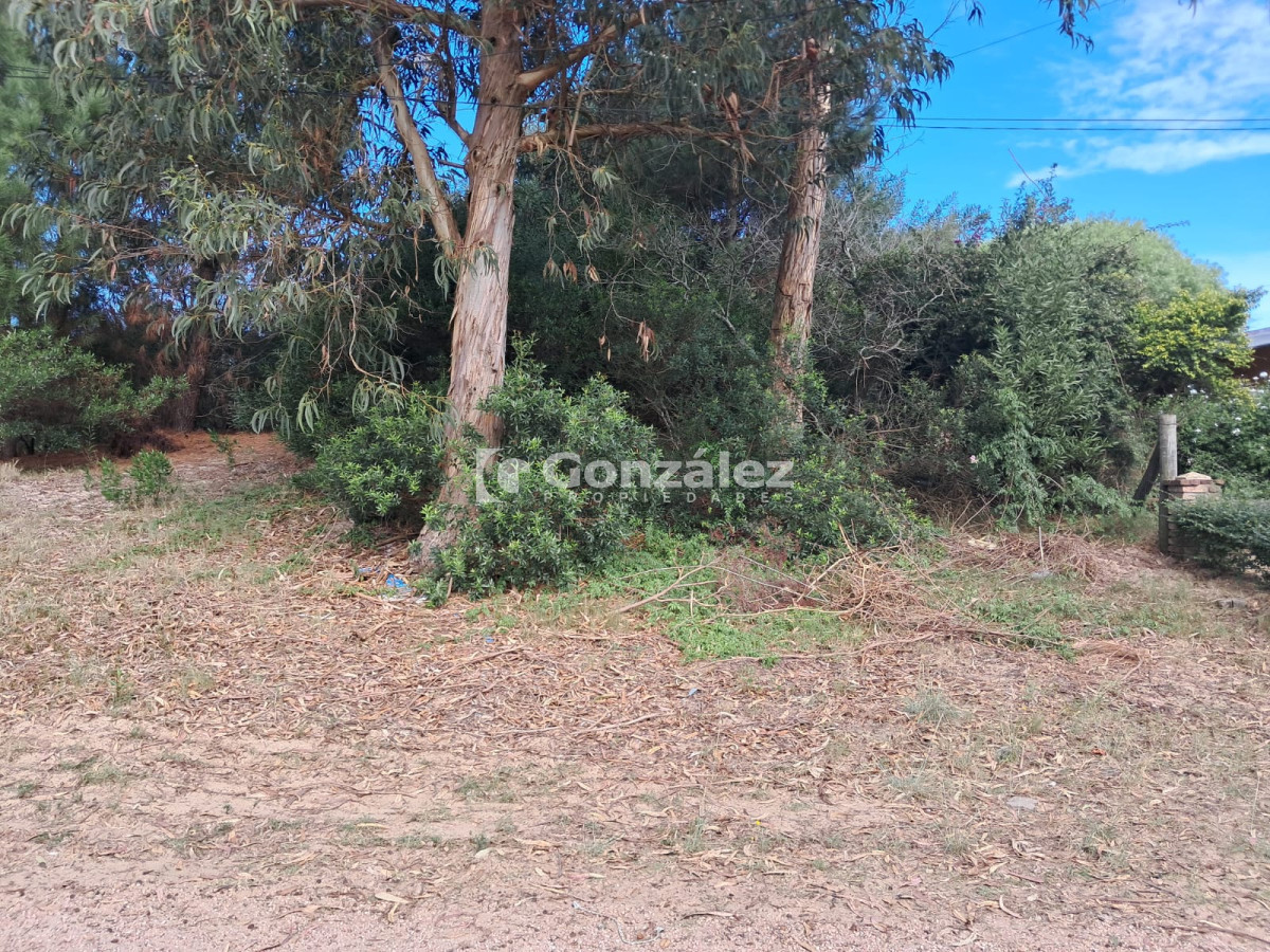 Terreno ID.706 - Terreno en Barrio Country