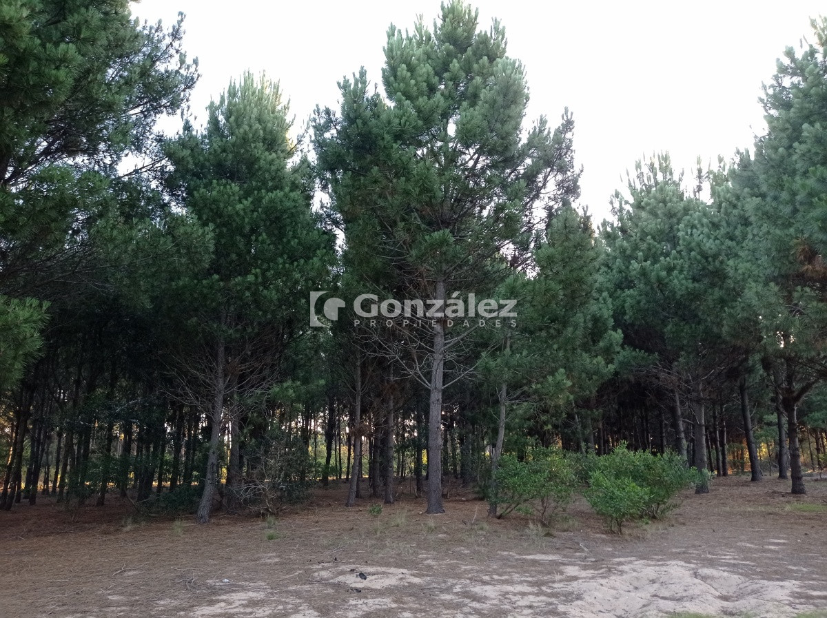 Terreno ID.503 - Terreno de Grandes Dimensiones con costa arroyo en Chihuahua