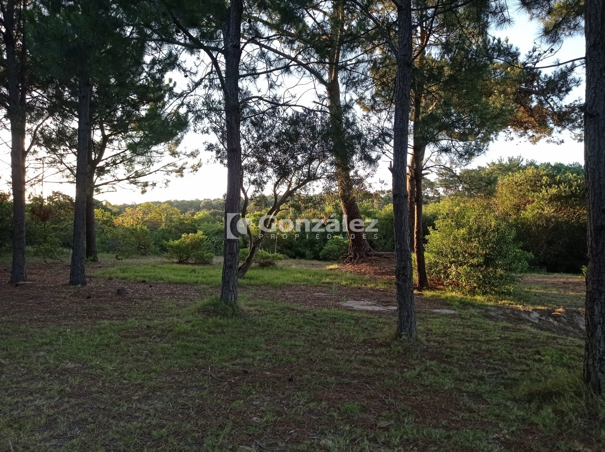Terreno ID.503 - Terreno de Grandes Dimensiones con costa arroyo en Chihuahua