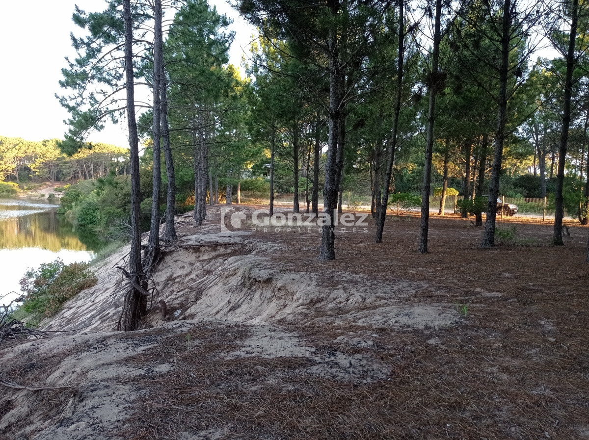 Terreno ID.503 - Terreno de Grandes Dimensiones con costa arroyo en Chihuahua