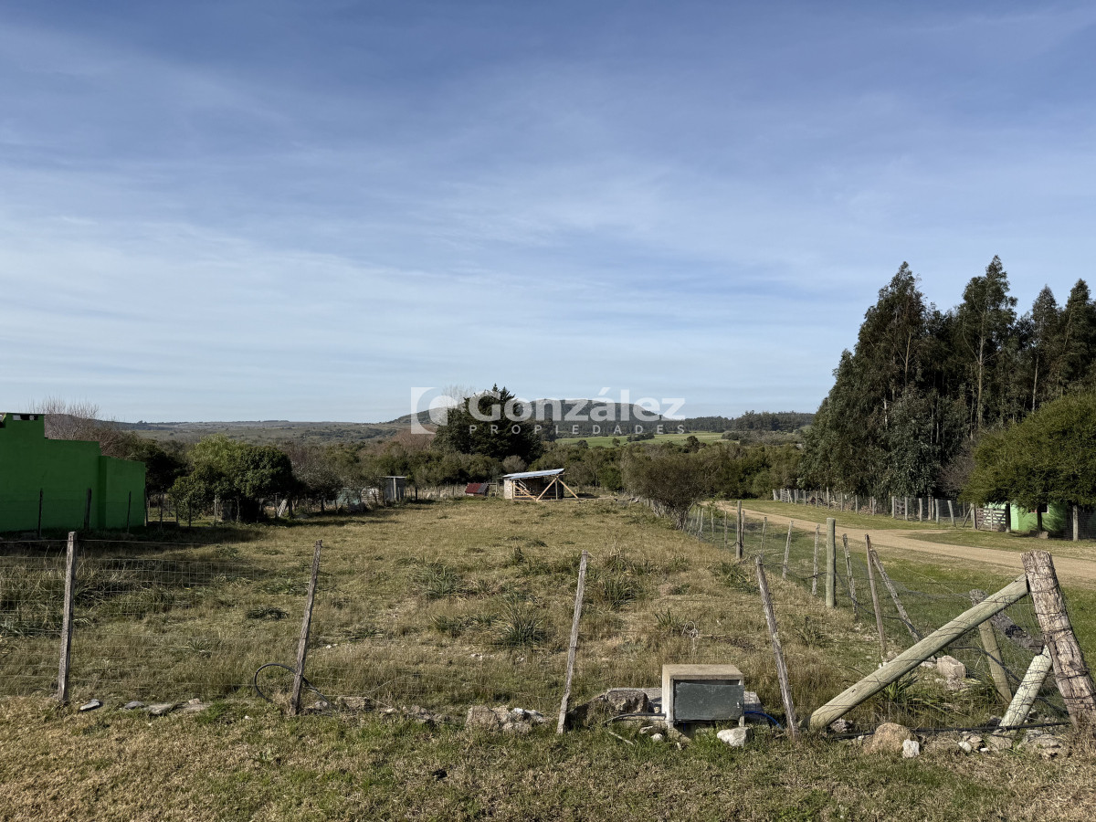 Gerona - GoPunta - Portal Inmobiliario de Punta del Este - Maldonado