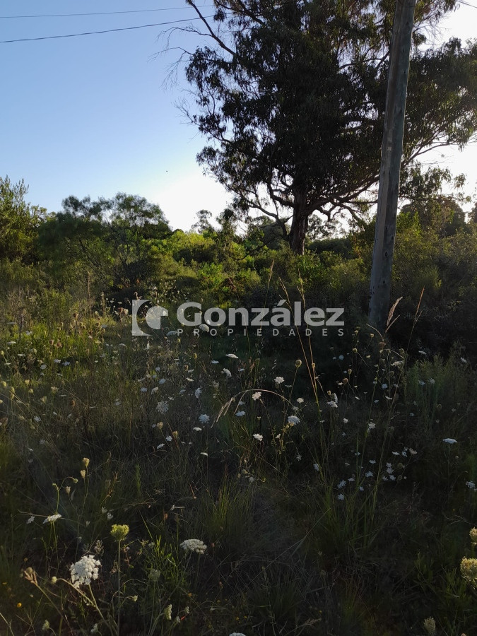 Piriápolis - GoPunta - Portal Inmobiliario de Punta del Este - Maldonado