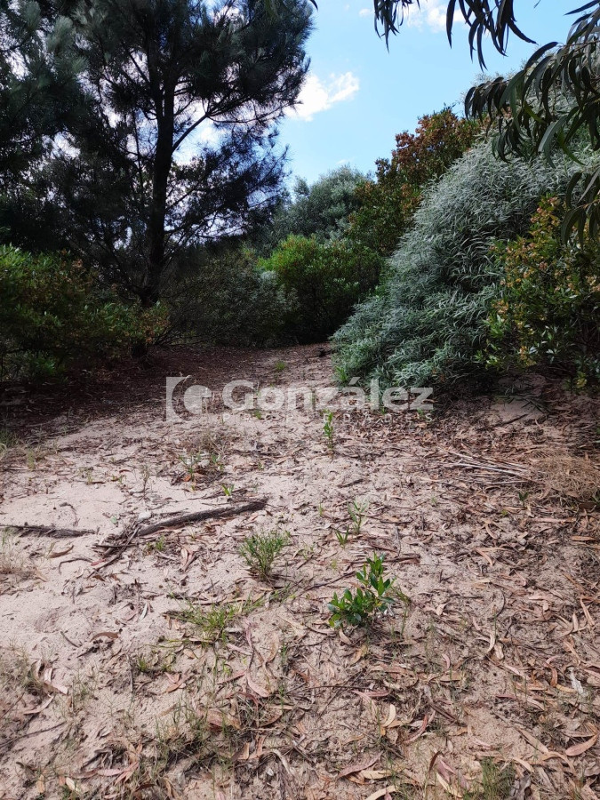 Terreno ID.706 - Terreno en Barrio Country