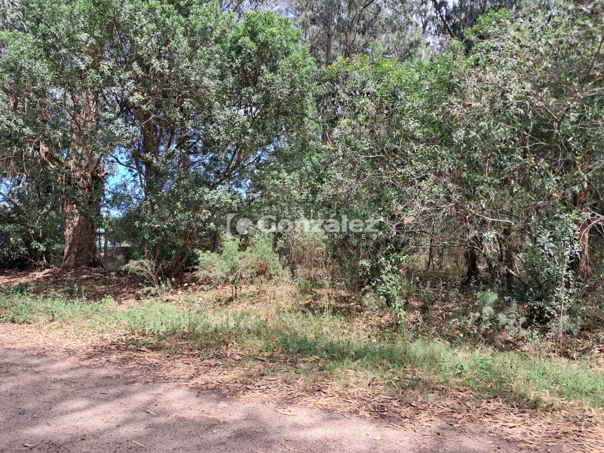 Terreno ID.763 - Terreno en Punta Negra U$S 45.000