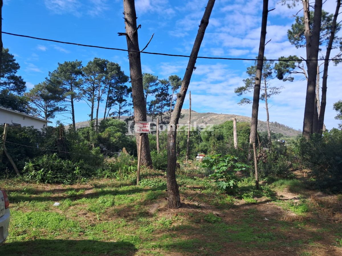 Terreno ID.729 - Terreno a la venta en Barrio Country