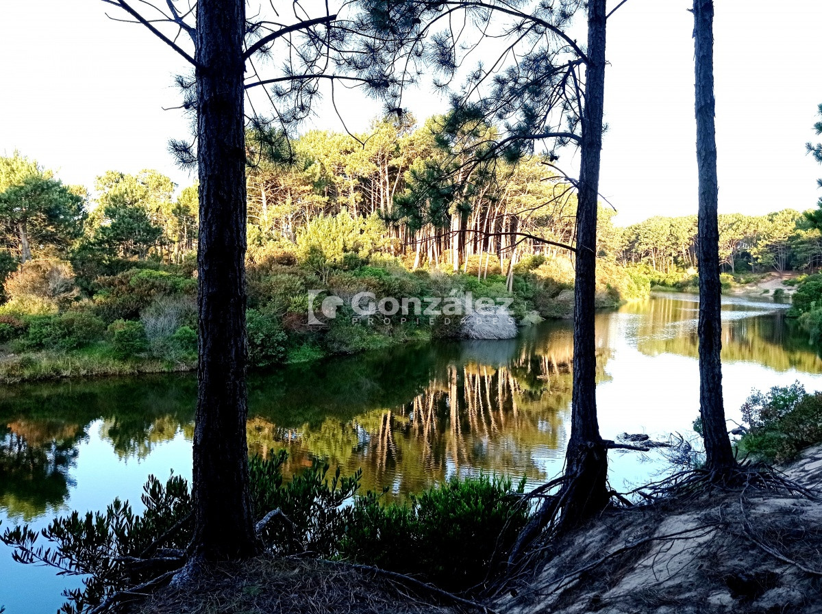 Terreno ID.503 - Terreno de Grandes Dimensiones con costa arroyo en Chihuahua