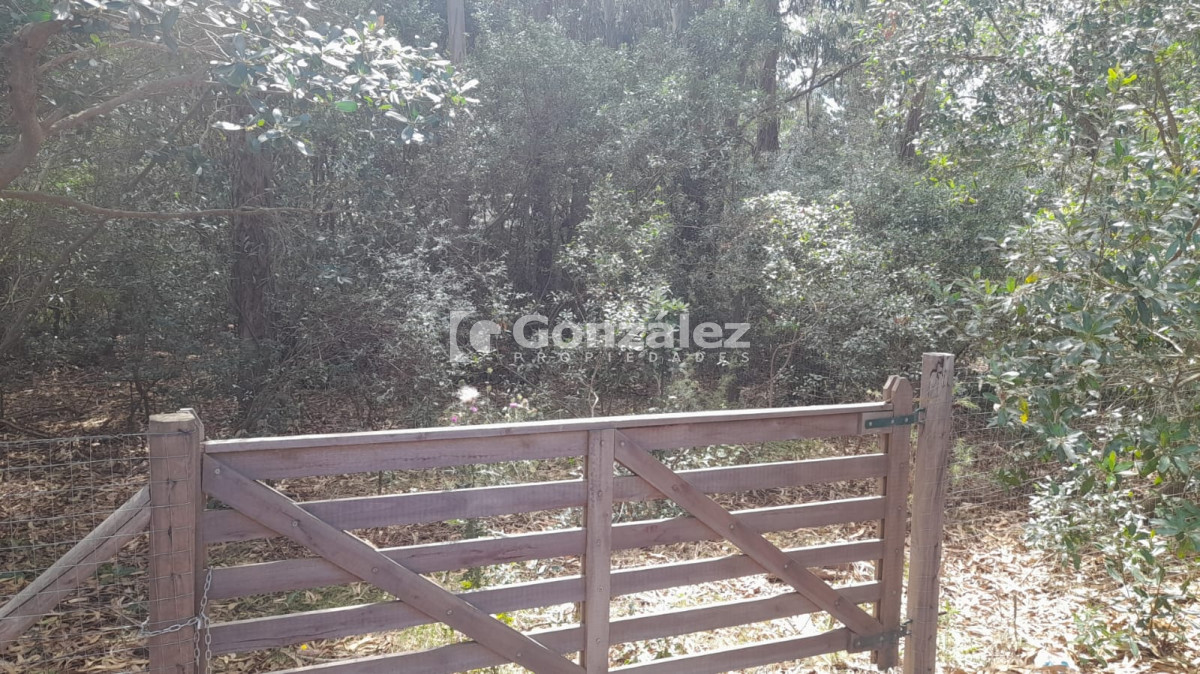 Terreno ID.763 - Terreno en Punta Negra U$S 45.000